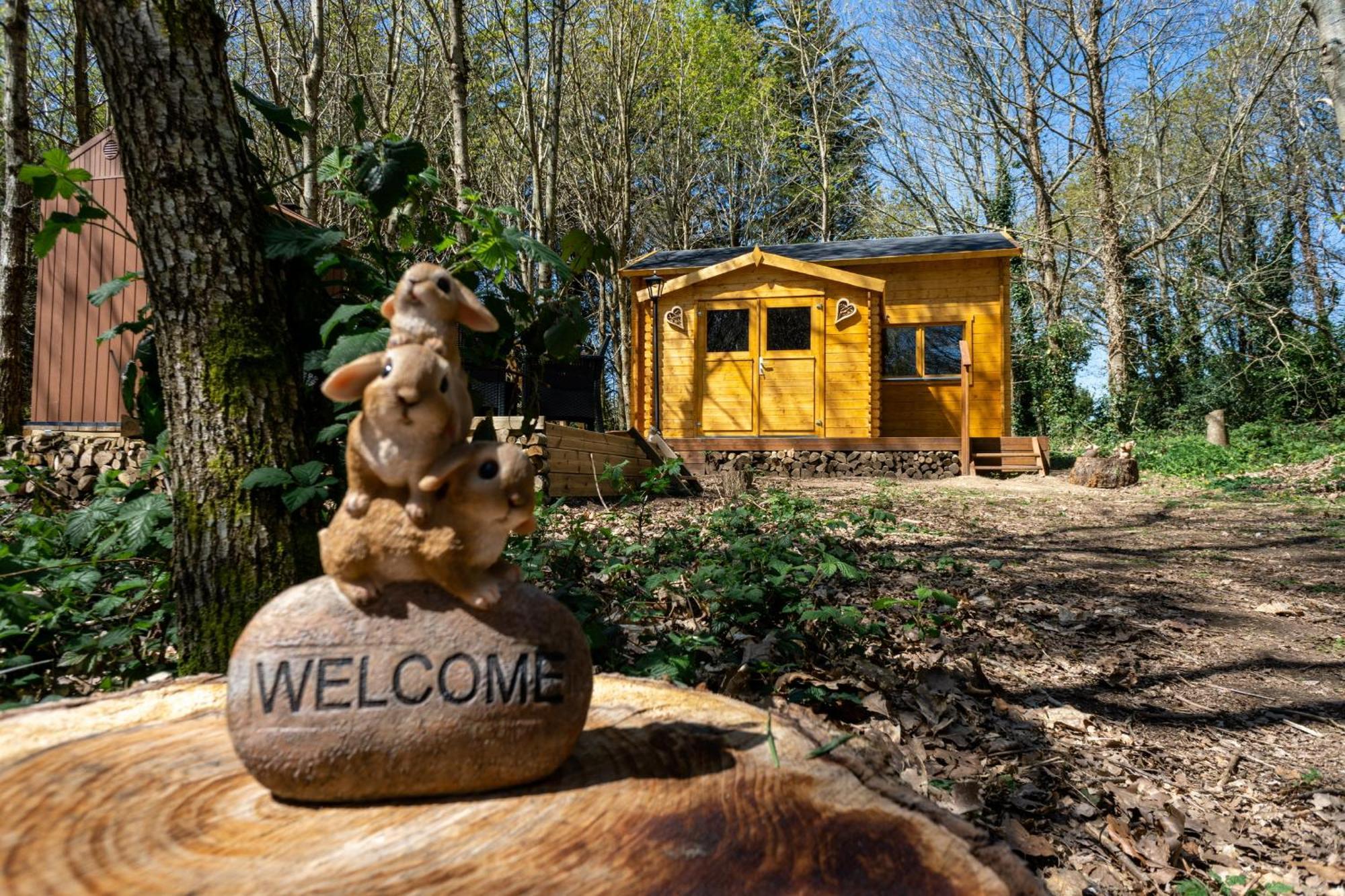 Cabane Insolite Avec Escape Game Saint-Évarzec Exterior foto
